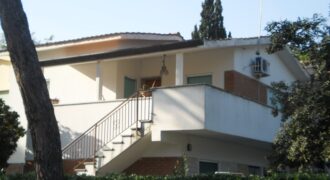 Residence Nove Perle Nove Conchiglie