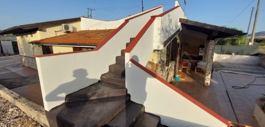 Villetta Bifamiliare con Uliveto in Vendita a Capocroce (Sonnino)