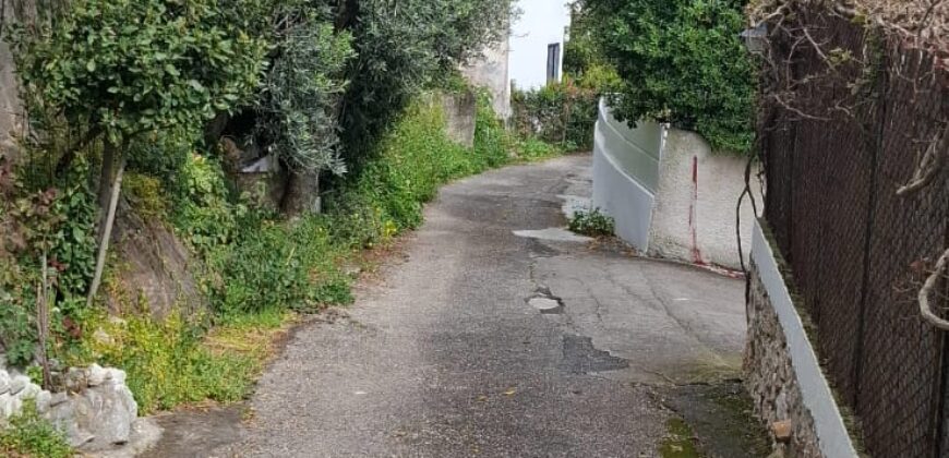 Appartamento in vendita in Via Domenico Maiolati