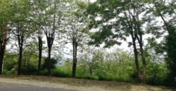 Appartamento in vendita (in Centro ) Viale Alfonso Bartoli, Ferentino