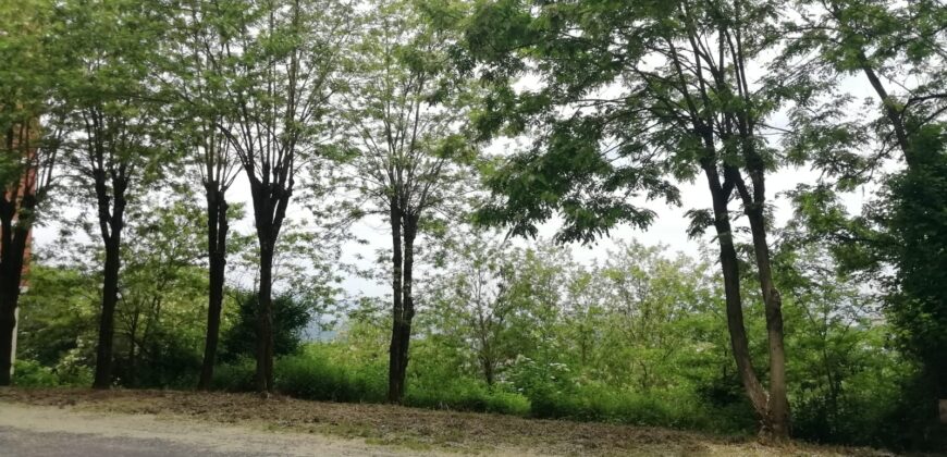 Appartamento in vendita (in Centro ) Viale Alfonso Bartoli, Ferentino